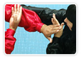 Robert Gemmell Martial Arts