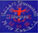Bagua New Zealand